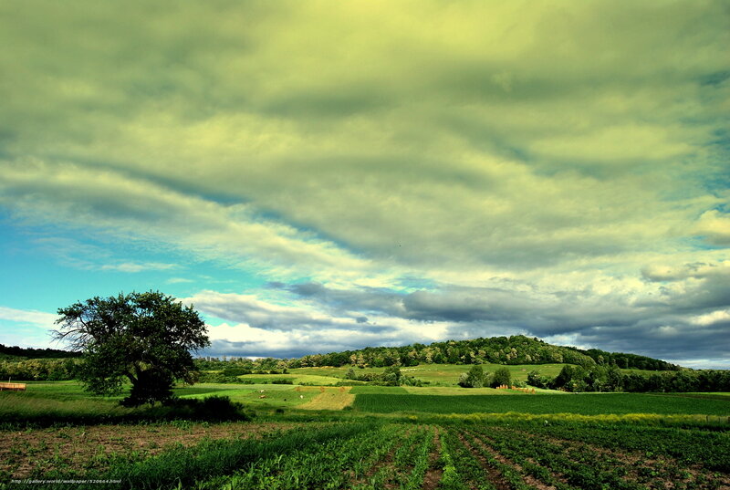 Green Fields and Cloudy Sky — Dramatic