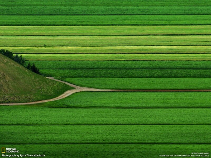 Green Fields and Dirt Road