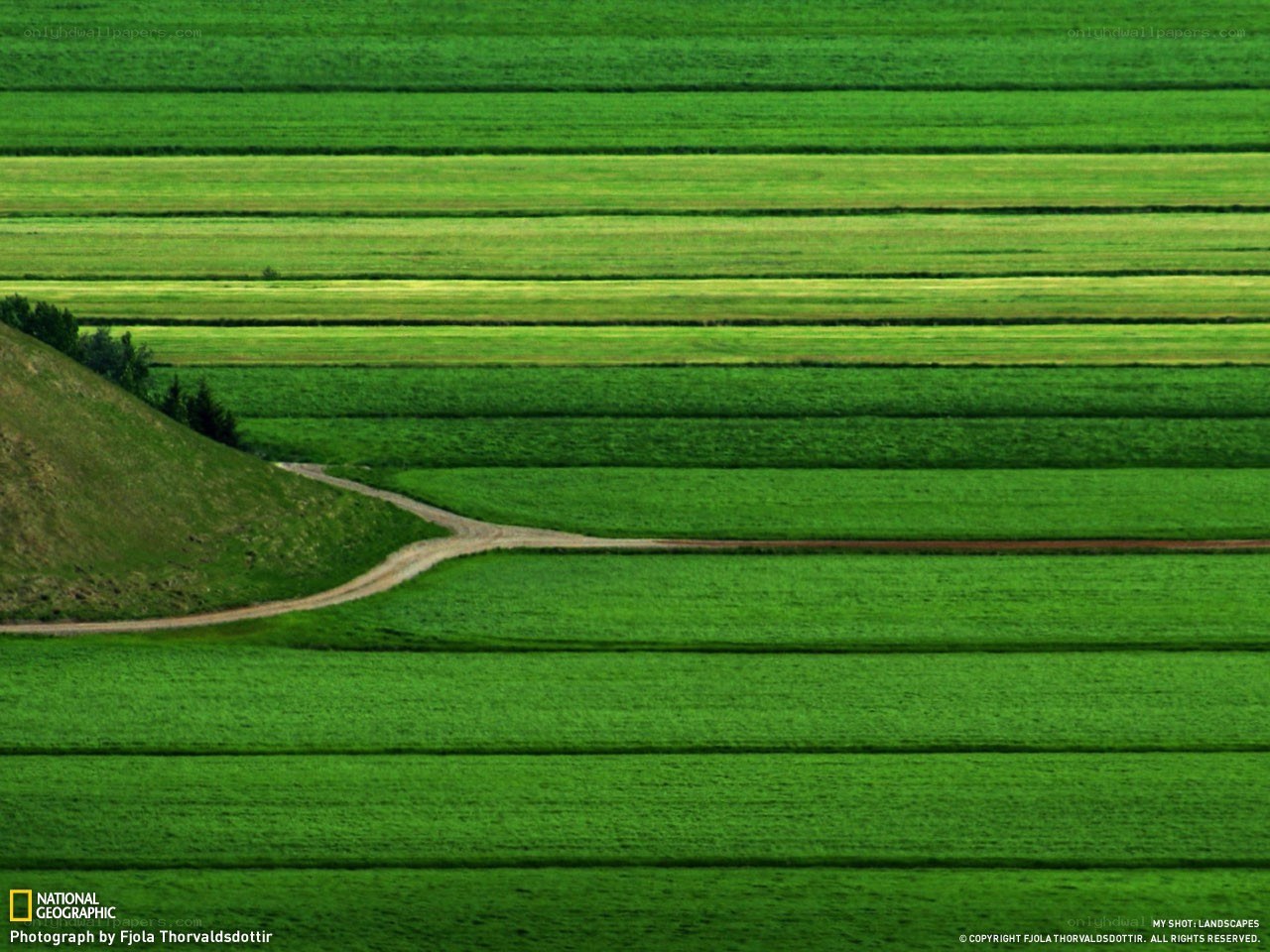 Green Fields and Dirt Road