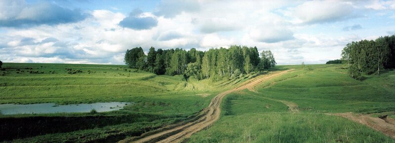 Green fields and dirt road