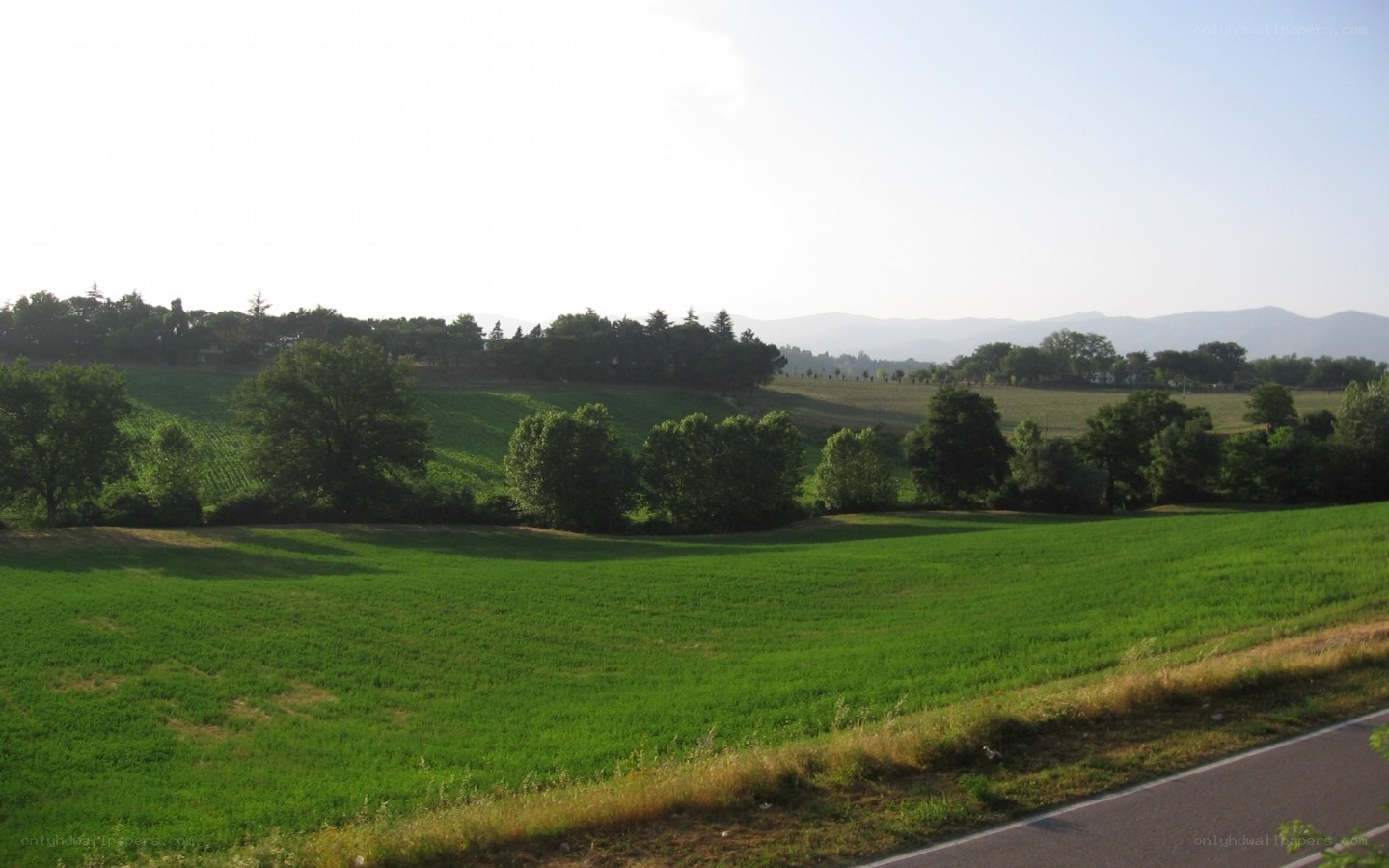 green fields and distant mountains