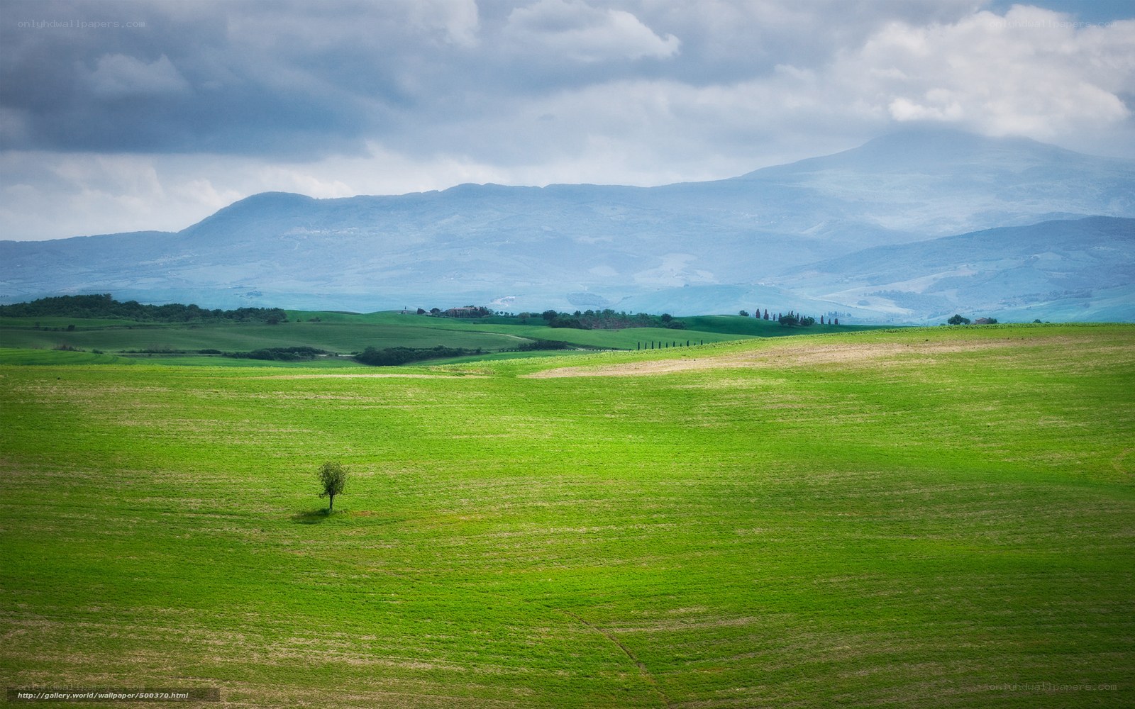 Green fields and distant mountains