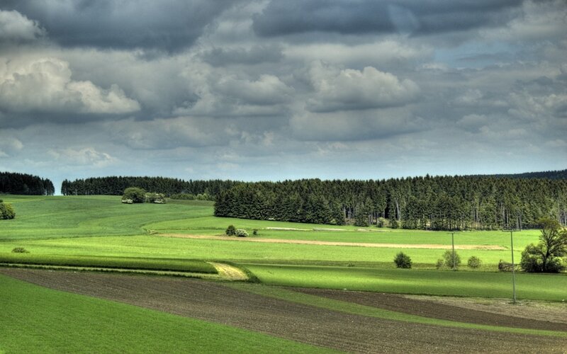 Green Fields and Forest — Dramatic, Afternoon, Photograph