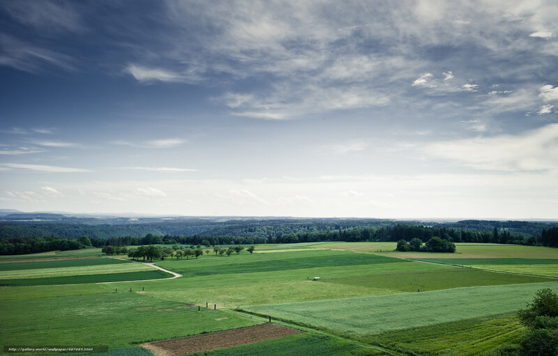 Green Fields and Forest — Serene