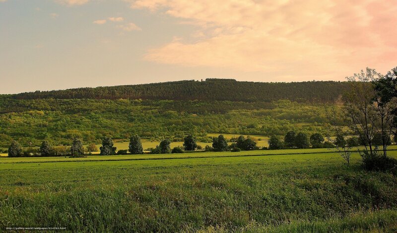 Green fields and forested hills