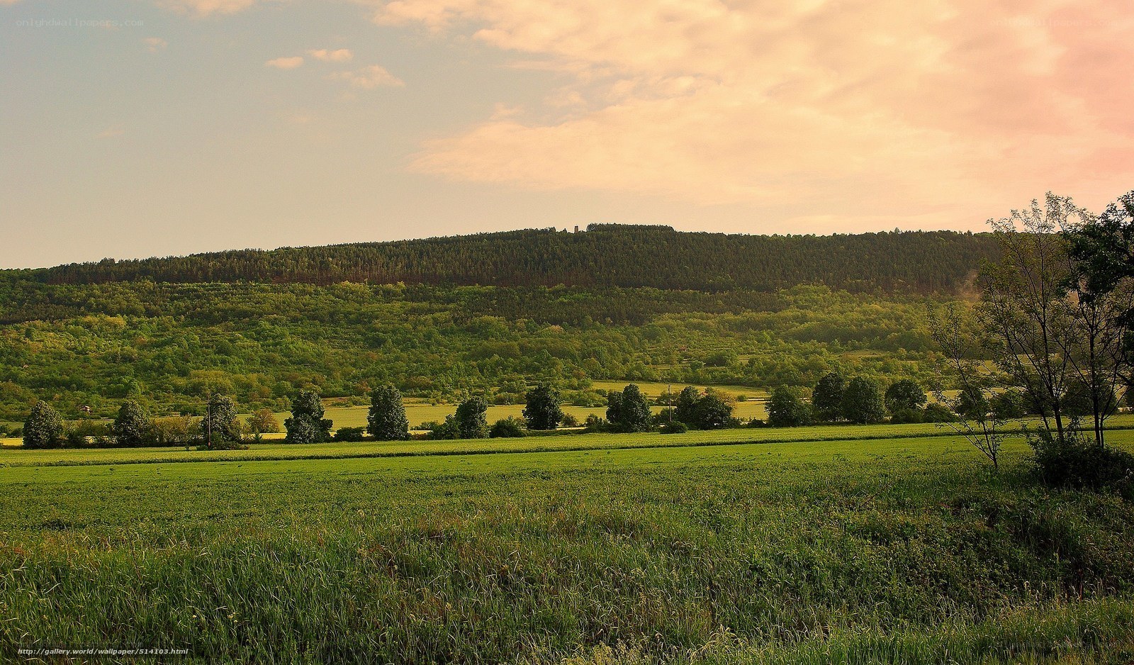 Green fields and forested hills
