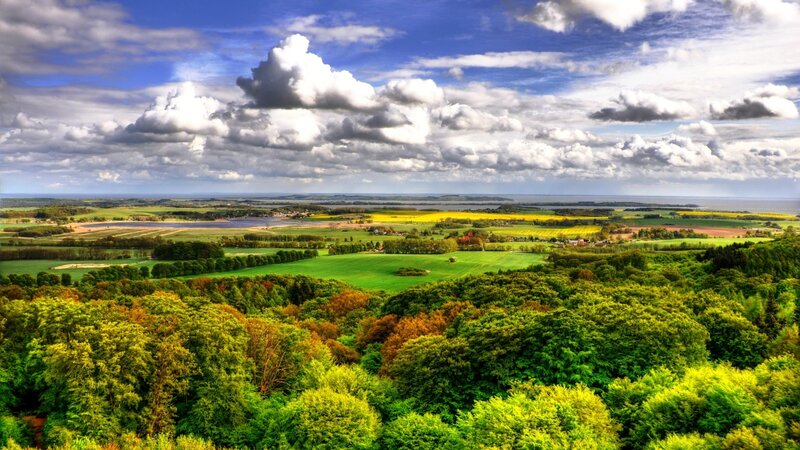 Green Fields and Forests