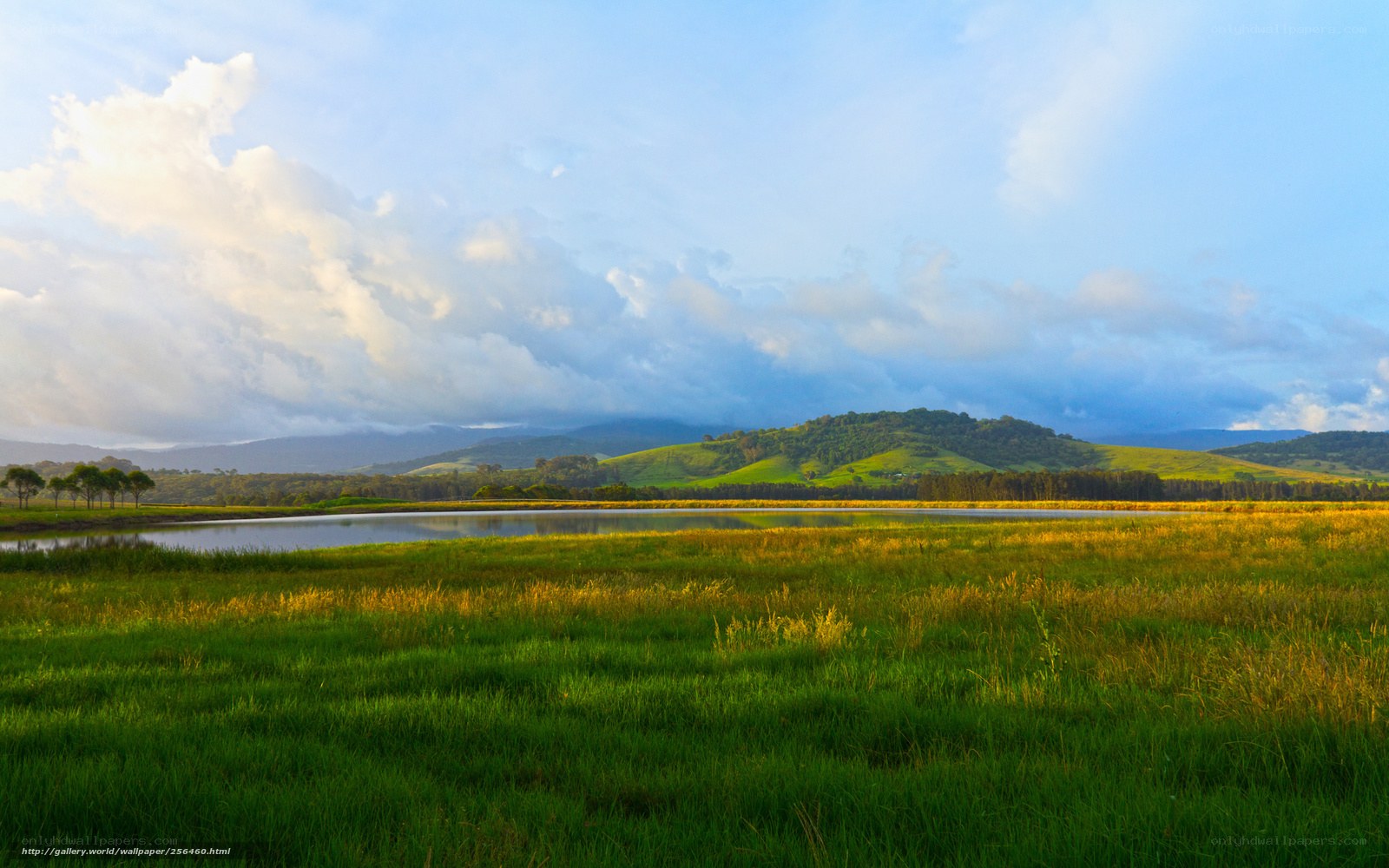 Green fields and hills at sunrise