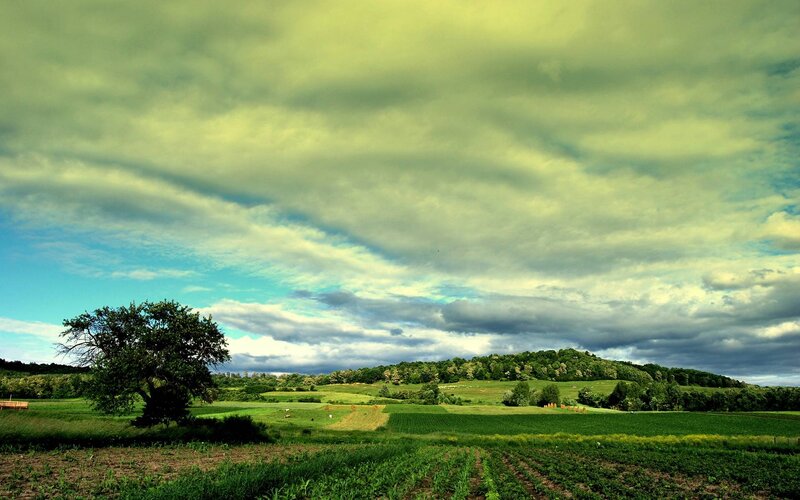 Green Fields and Hills — Serene, Afternoon, Photograph