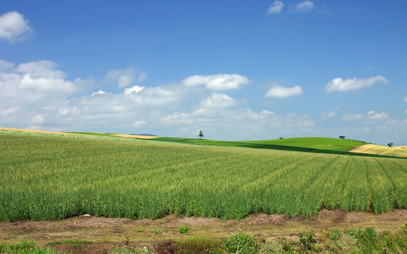 Green Fields and Hills — Serene, Afternoon, Photograph, Trees, Clouds
