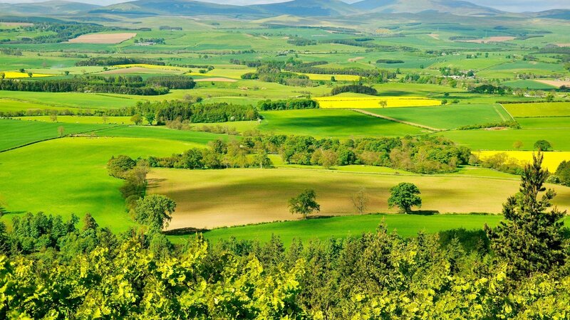 Green Fields and Hills — Serene, Afternoon, Photograph, Trees
