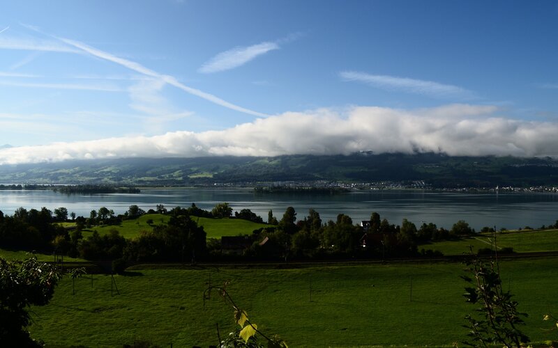Green Fields and Lake — Serene