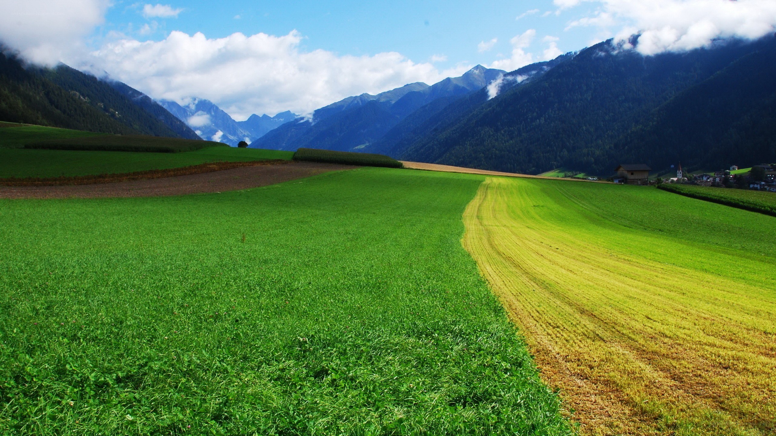 Green fields and mountain valley
