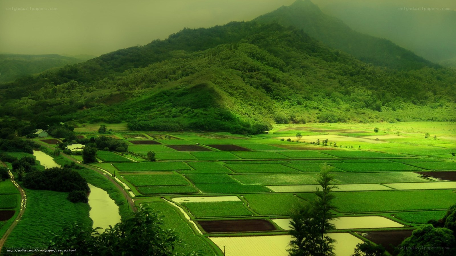 Green Fields and Mountains