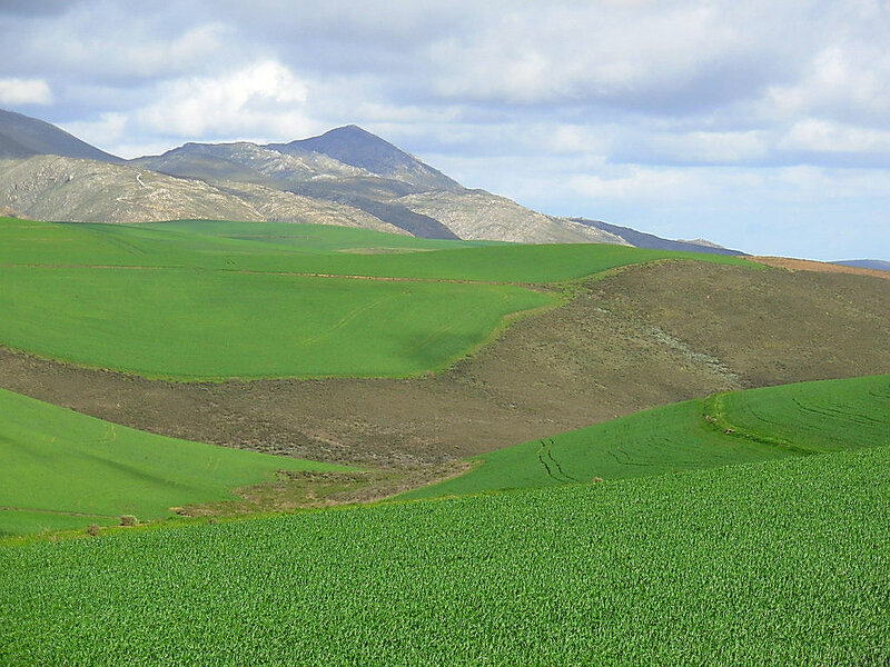 Green Fields and Mountains
