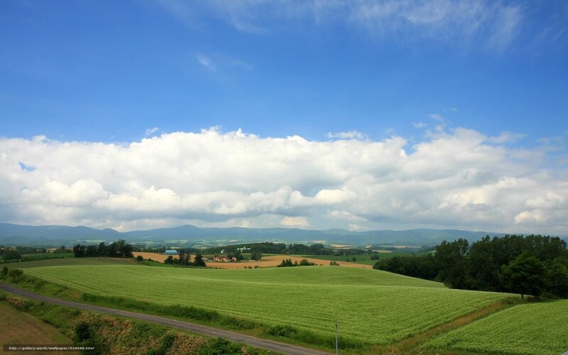 Green Fields and Mountains — Blue, Serene, Afternoon