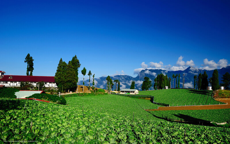 Green Fields and Mountains — Blue, Serene