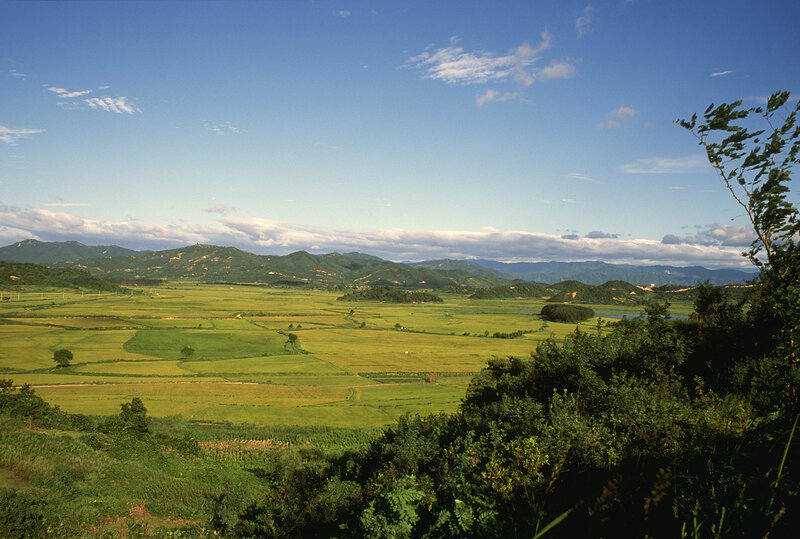 Green fields and mountains landscape