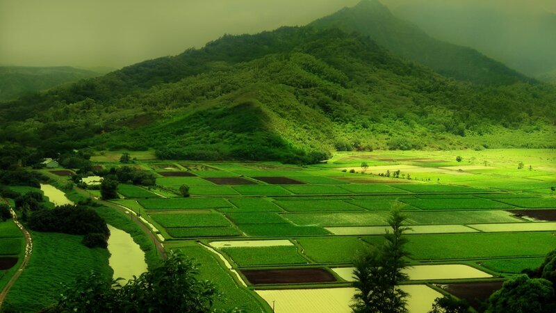 Green fields and mountains landscape