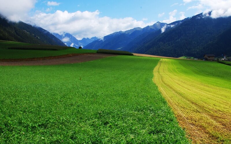 Green Fields and Mountains — Serene, Afternoon, Photograph