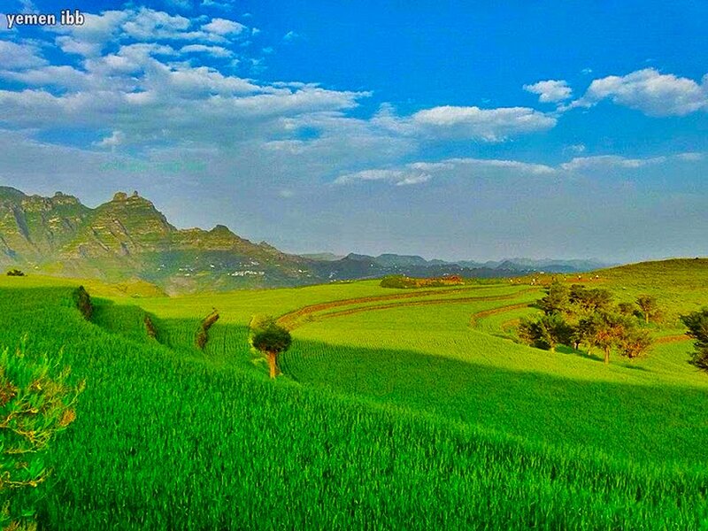 Green Fields and Mountains — Serene, Afternoon, Photograph, Trees, Clouds