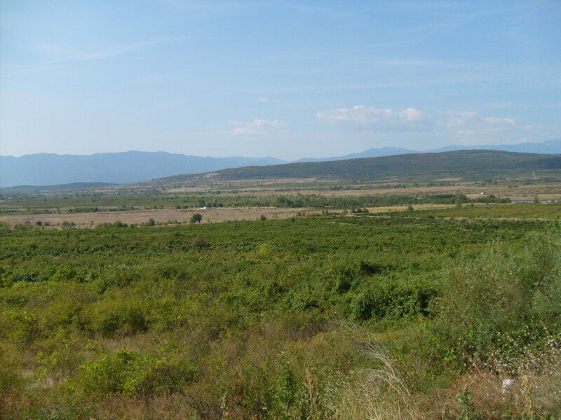 Green Fields and Mountains — Serene, Afternoon
