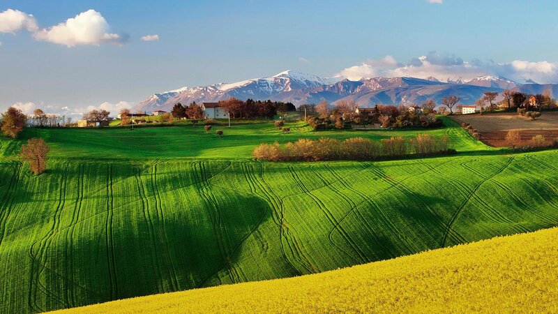 Green Fields and Mountains — Serene, Morning