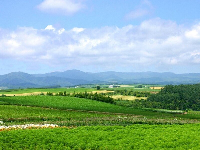 Green Fields and Mountains — Serene