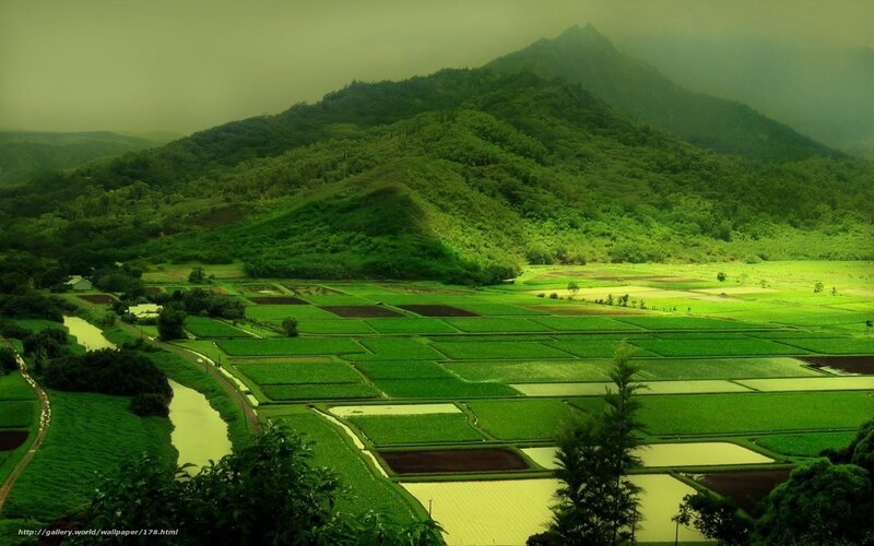 Green Fields and Mountains