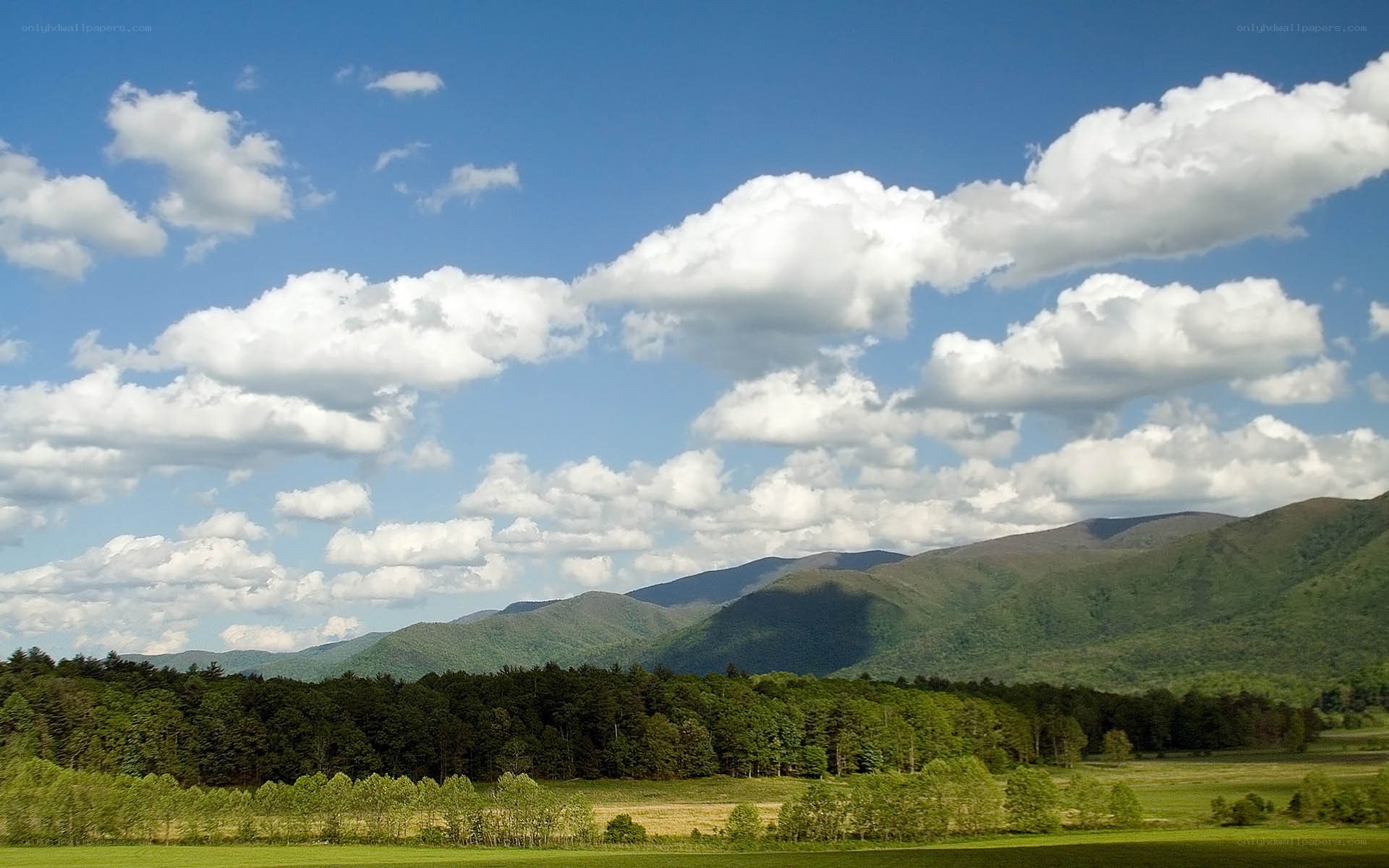 Green fields and mountains under blue sky