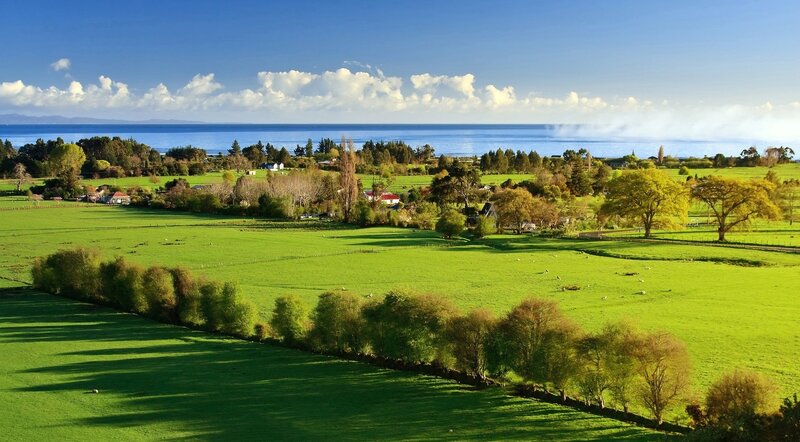 Green Fields and Ocean — Serene, Afternoon