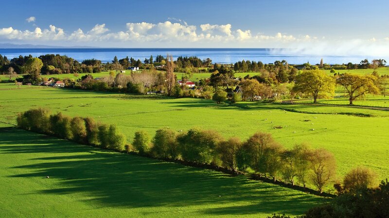 Green Fields and Ocean