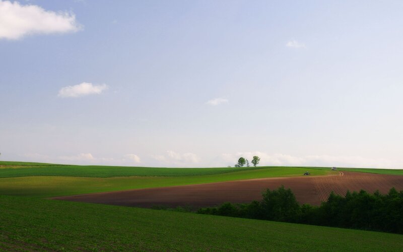 Green Fields and Plowed Land