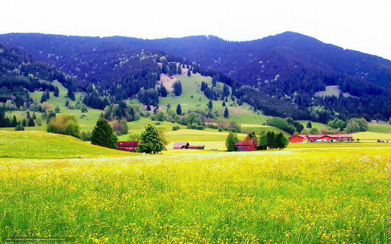 Green fields and red barns