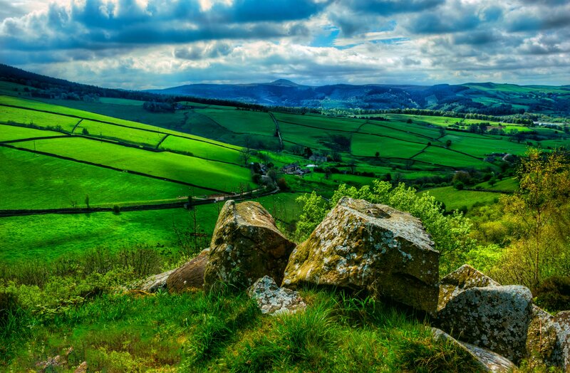 Green Fields and Rocks