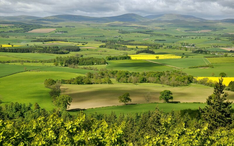 Green fields and rolling hills