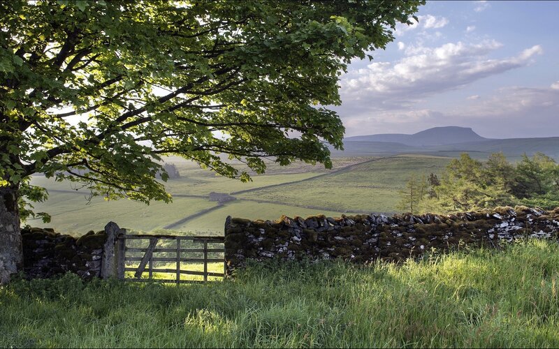 Green Fields and Stone Wall