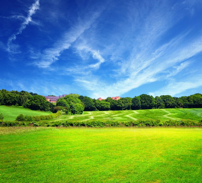 Green Fields and Trees — Blue, Serene, Afternoon