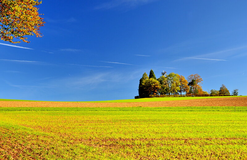 Green Fields and Trees — Blue, Serene, Autumn