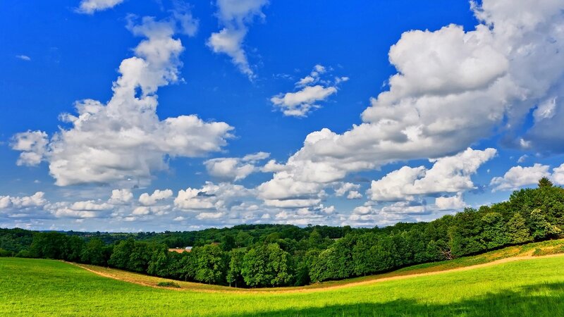 Green Fields and Trees — Blue, Serene
