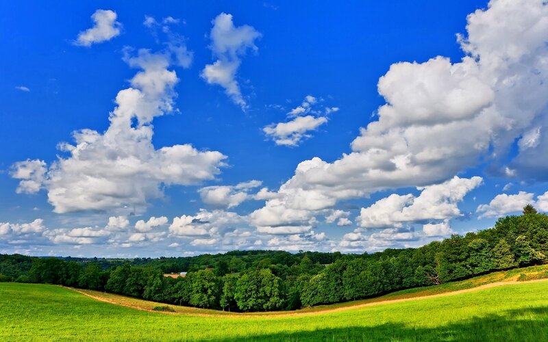 Green Fields and Trees — Blue