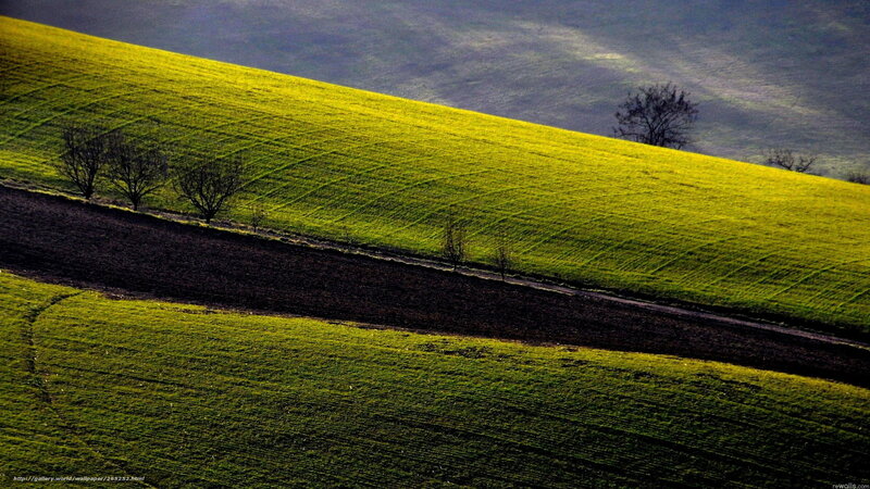 Green Fields and Trees — Dramatic