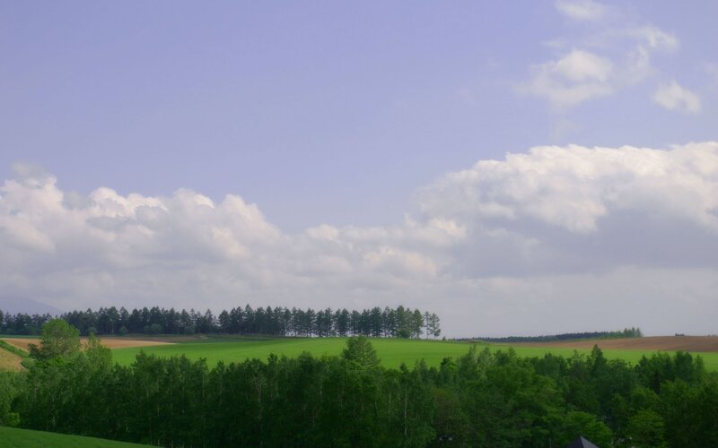 Green Fields and Trees — Serene, Afternoon, Photograph, Clouds, Blue