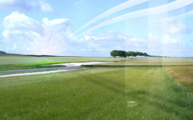 Green Fields and Trees — Serene, Afternoon, Photograph, Road