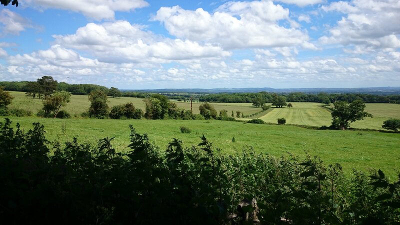 Green Fields and Trees — Serene, Afternoon, Photograph, Sky