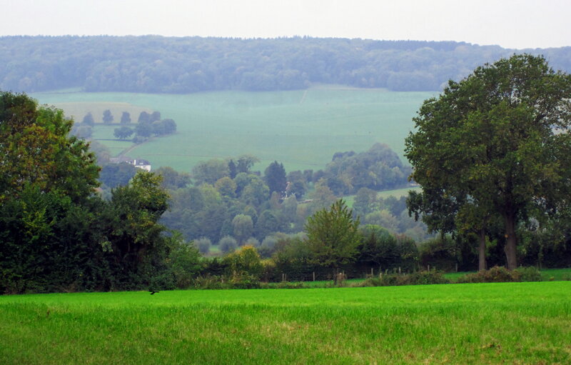 Green Fields and Trees — Serene, Afternoon, Photograph