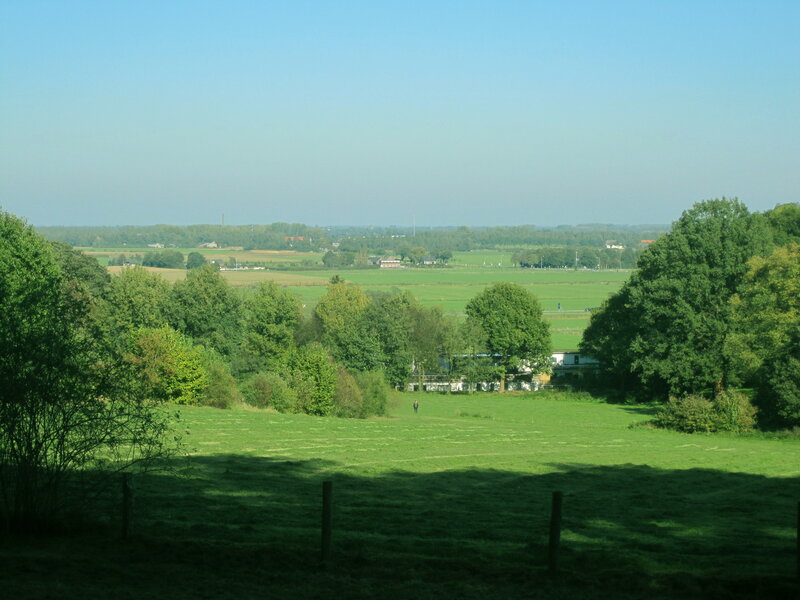 Green Fields and Trees — Serene, Afternoon