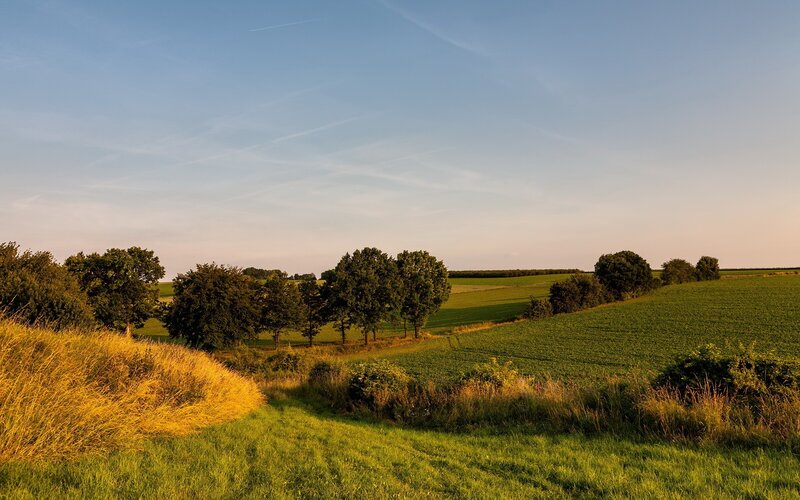 Green Fields and Trees — Serene, Sunset