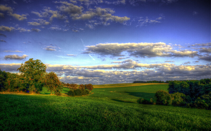 Green Fields and Trees — Serene