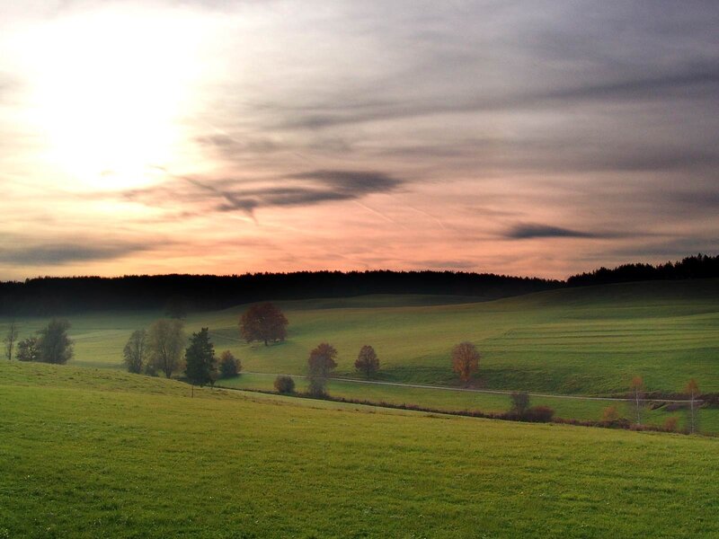 Green fields at sunset
